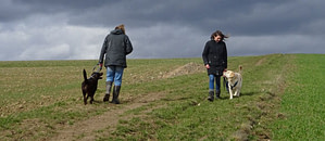 Die Hundebegegnung an der Leine
