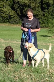Spaziergang an lockerer Leine Harmonischer Spaziergang mit zwei Hunden