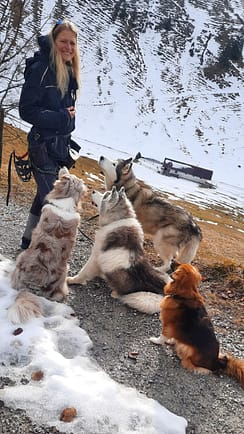 WhatsApp Image 2026-02-11 at 16.10.08