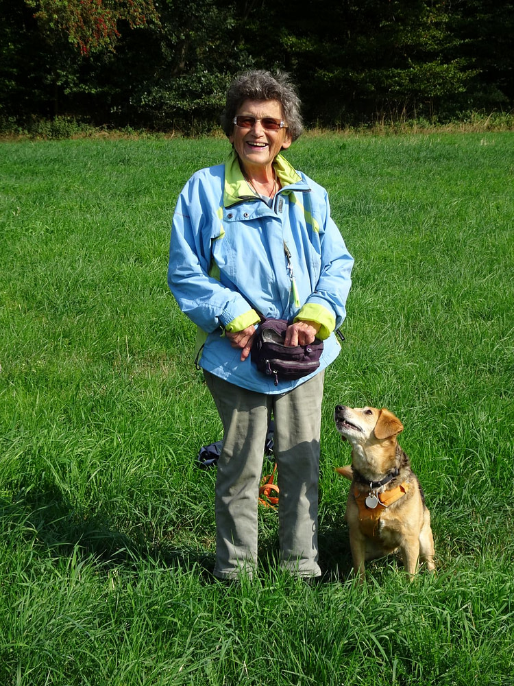 Belohnung im Hundetraining Hundetraining mit positiver Verstärkung